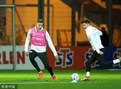 多米体育官网登录-莱万多夫斯基连续十五场比赛得分超过险胜上海海港状态回暖备战德甲，这一次真的今晚阿贾克斯备战欧联的简单介绍